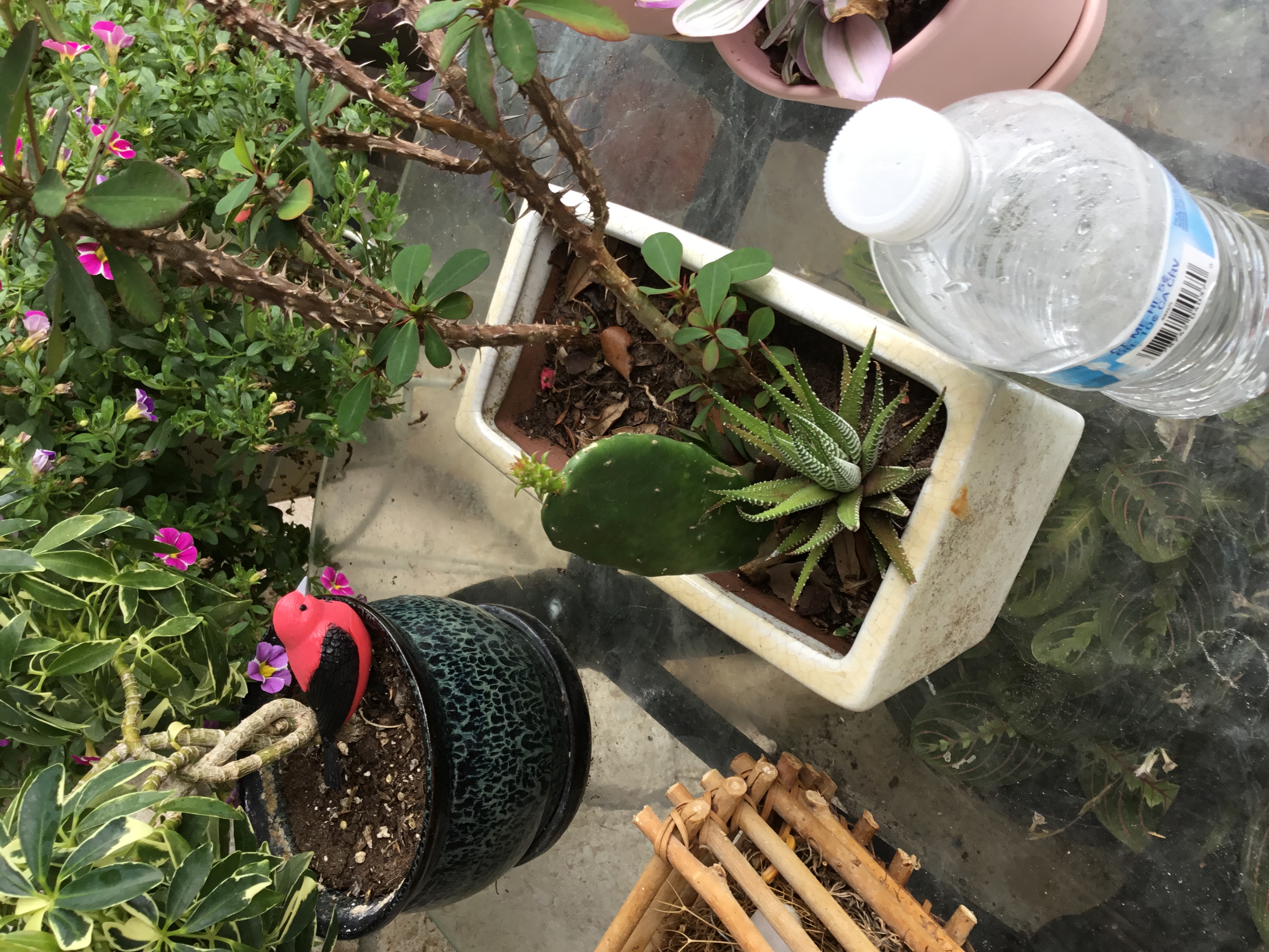 succulent pot -white rectangular.jpg